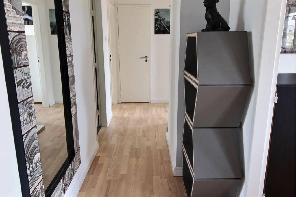 3 Pieces En Plein Centre De Strasbourg Apartment Екстериор снимка