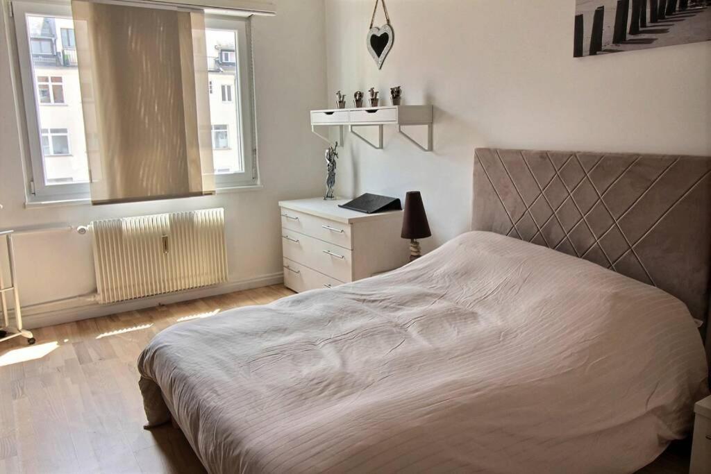 3 Pieces En Plein Centre De Strasbourg Apartment Екстериор снимка